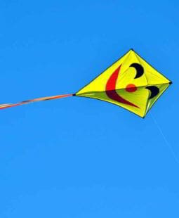 3 maneras diferentes de ser feliz