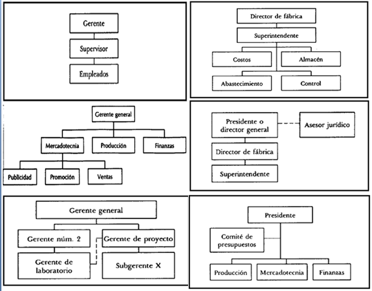 Tipos de organigramas: Lineal o militar, Funcional o de Taylor, Lineo funcional, Staff, Matricial, Por comités