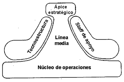 Las partes básicas de la organización como sistema