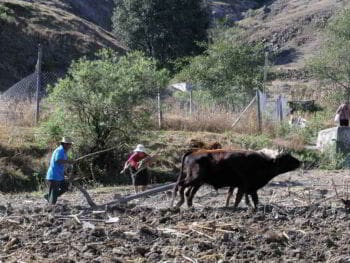 Crisis del sector agropecuario en México