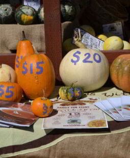 Conversión de valores a precios según la teoría de Marx