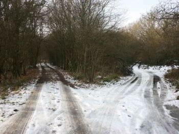 ¿Qué hacer cuando detestas tú trabajo pero no te animas a cambiar?