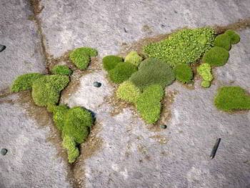 Marketing viral desde la visión empresarial Marketing viral desde la visión empresarial