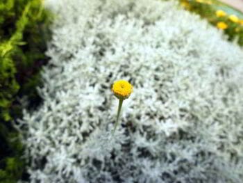 Cómo evitar una mala selección de personal