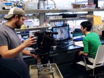 ¿Cómo promocionar y vender tus servicios profesionales? ¿Cómo promocionar y vender tus servicios profesionales?