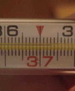 ¿Para qué medimos la satisfacción del cliente?