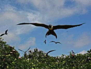 El líder en acción como generador de cambio social El líder en acción como generador de cambio social