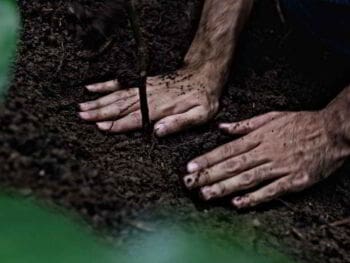 Responsabilidad social empresarial: ¿filantropía o compromiso?