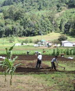 Análisis y problemática actual del campo y la agricultura en México