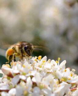 Cómo dar lo mejor de ti en el trabajo