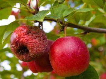 3 pasos para transformar un negocio que no funciona 3 pasos para transformar un negocio que no funciona