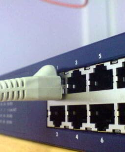 Cómo comenzar tu negocio online si eres un profesional independiente