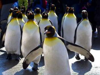 Ética y estilos de liderazgo