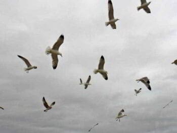 Liderazgo en tiempos de globalización y tecnología