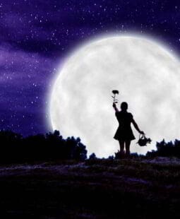 4 ventajas de ofrecer tus servicios profesionales a todo el mundo