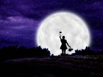 4 ventajas de ofrecer tus servicios profesionales a todo el mundo 4 ventajas de ofrecer tus servicios profesionales a todo el mundo