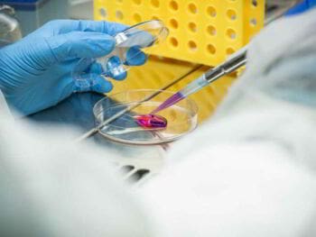 Impacto económico y social de la industria biotecnológica Cubana