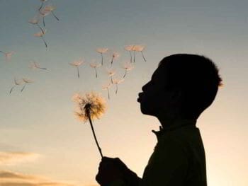 Educación y capacitación para el desarrollo sustentable Educación y capacitación para el desarrollo sustentable