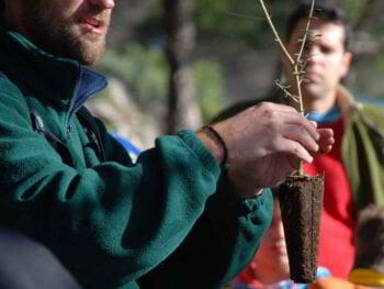 Racionalismo en el manejo de los recursos naturales. Ensayo Racionalismo en el manejo de los recursos naturales. Ensayo