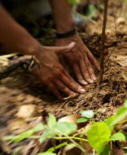 Emotivismo para la gestión ambiental y el desarrollo sostenible. Ensayo