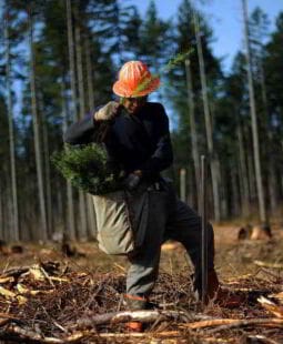 Impactos ambientales causados por actividades económicas de producción y consumo