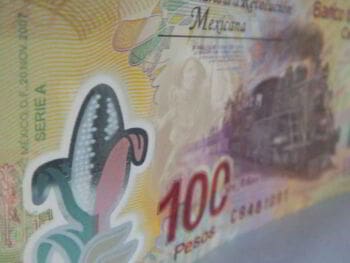 Manejo financiero de las contribuciones en México. Ensayo