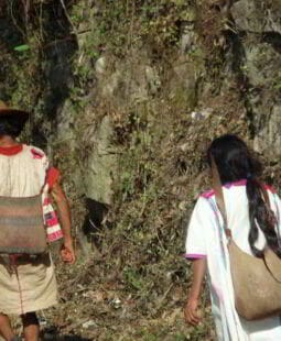 Análisis sociológico del arraigo cultural en San Juan Cancuc Chiapas, México
