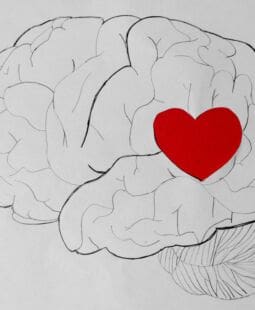 Importancia de la inteligencia emocional en las organizaciones. Ensayo