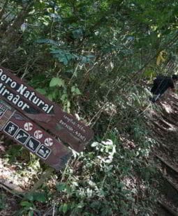 Educación ambiental mediante excursionismo en Cuba