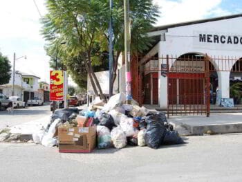 Problemática de recolección de basuras en un municipio de México. Ensayo