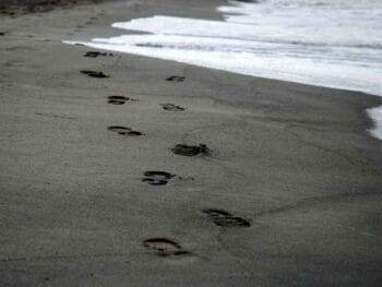 10 pasos para emprender tu próximo proyecto 10 pasos para emprender tu próximo proyecto