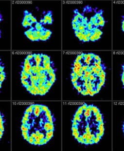 Experimento de neuroeconomía aplicado a la curva de demanda y el comportamiento del consumidor