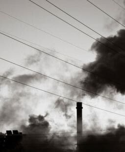 Externalidades ambientales y gestión ambiental en México