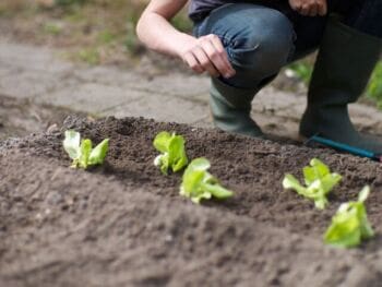 Responsabilidad social corporativa o empresarial