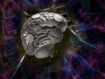 El Cerebro Humano. ¿Una Súper Máquina… o la Máquina Perfecta?