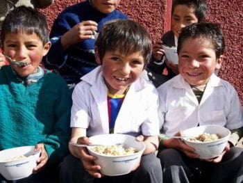 La política social y la reducción de la pobreza en el Perú
