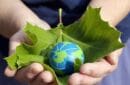 Globalización y medio ambiente: consecuencias