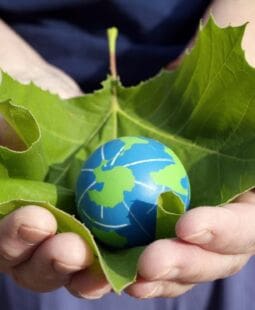 Globalización y medio ambiente: consecuencias