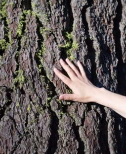 Estrategia pedagógica para la educación ambiental en estudiantes universitarios