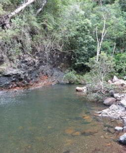 Control de proyectos en un parque natural de Cuba