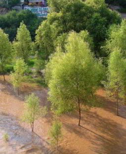 El protocolo de Kioto y su impacto en la economía ambiental de México