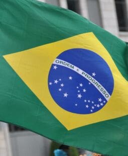 El Estado democrático regido por el imperio de la Ley en Brasil