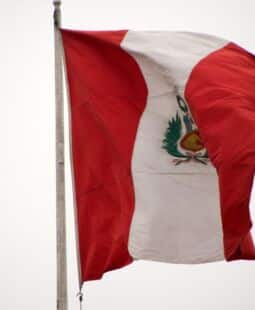 Problemática nacional y desaprobación presidencial en el Perú 2015