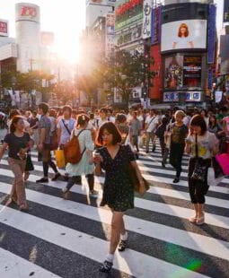 Nemawashi. Concepto Japonés para la toma de decisiones en la empresa
