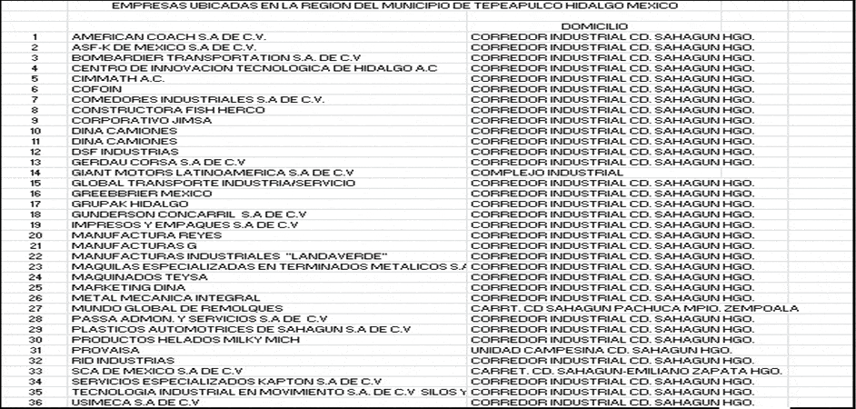 Empresas ubicadas en la región del municipio de Tepeapulco Hidalgo