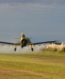 Agroquímicos y comunidad: cuando las estrategias económicas intervienen en los procesos de subjetivación