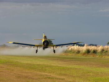 Agroquímicos y comunidad: cuando las estrategias económicas intervienen en los procesos de subjetivación