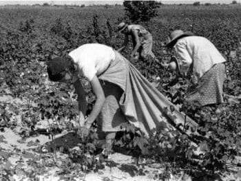Planes para fortalecer la participación de la mujer en el Sector Agrícola de Cuba