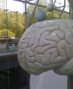 Neuroeconomía y decisiones intertemporales