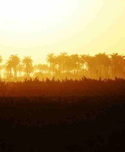 Procedimiento de auditoría contable ambiental en la contraloría de las Tunas Cuba